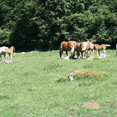 Les Eaux Tranquilles 4*